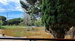 PARC CENTRAL DESDE LA CASA DE JORDI CAPELL