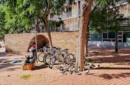 PLAÇA NAU GAUDI 
RODAMON