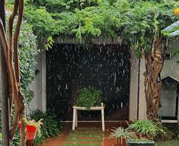 PLUJA