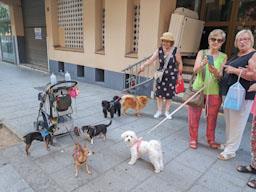 AVINGUDA RECODER MATARO 
CONCENTRACIÓ DE GOSSOS