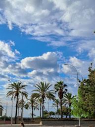 AVINGUDA MARESME MATARO