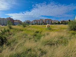 SOLAR DE CAN FABREGAS MATARO