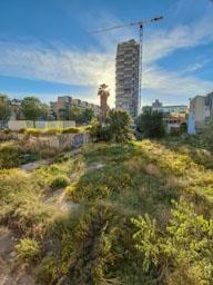 TORRE BARCELO MATARO