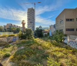 TORRE BARCELO MATARO