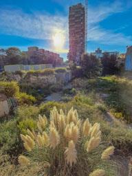 TORRE BARCELO MATARO