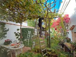 PATI CASA JOSEP CASTELLÀ 15 MATARO