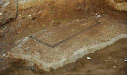 EXCAVACIÓ DOMUS DE CAN CRUZATE MATARO 
ANY 2008
