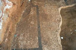 EXCAVACIÓ DOMUS DE CAN CRUZATE MATARO 
ANY 2008