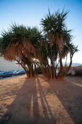 RONDA BELLAVISTA MATARO