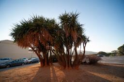 RONDA BELLAVISTA MATARO