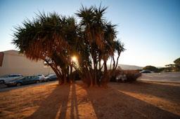 RONDA BELLAVISTA MATARO