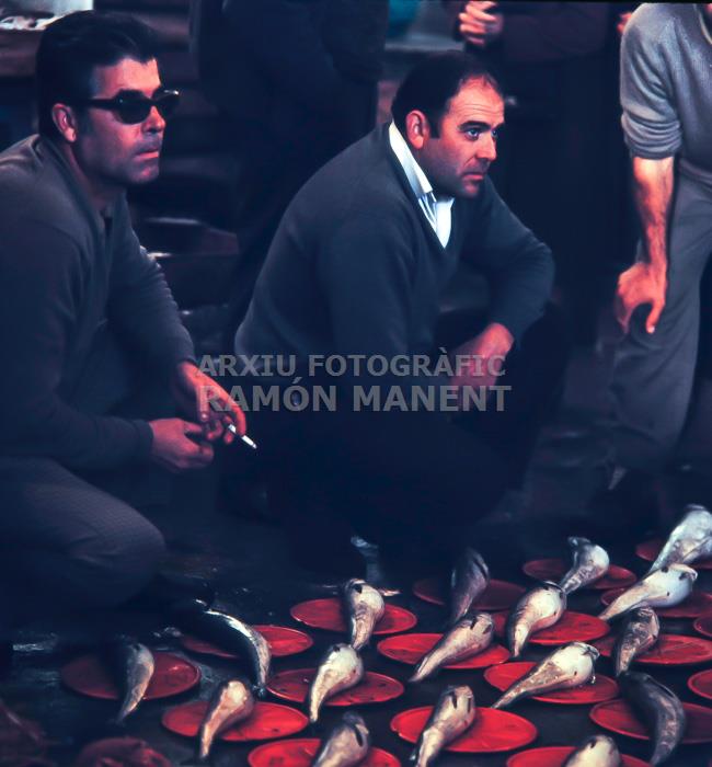 SUBHASTA DE PEIX AL POSIT D´ARENYS DE MAR 
