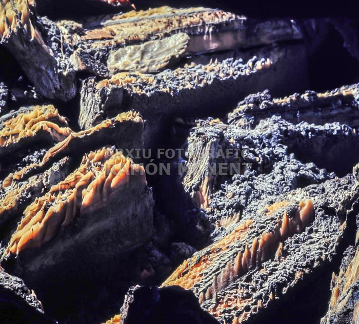 MINES DE SAL A CARDONA 
