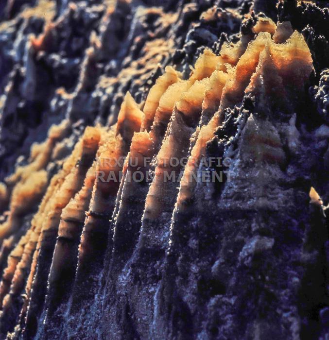 MINES DE SAL A CARDONA 
