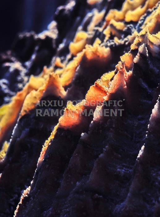 MINES DE SAL A CARDONA 
