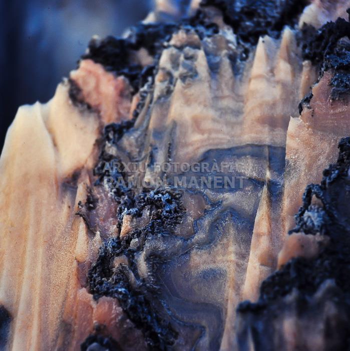 MINES DE SAL A CARDONA 
