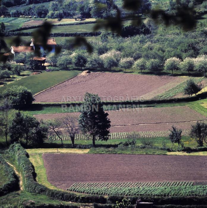 CAMPS CONREUATS A ASTURIES 1972