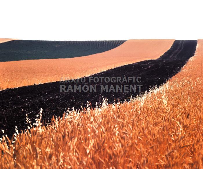 CAMPS EN GUARET PROVICIA DE CACERES