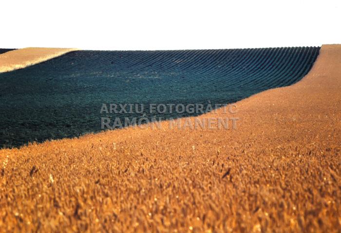 CAMPS EN GUARET PROVICIA DE CACERES