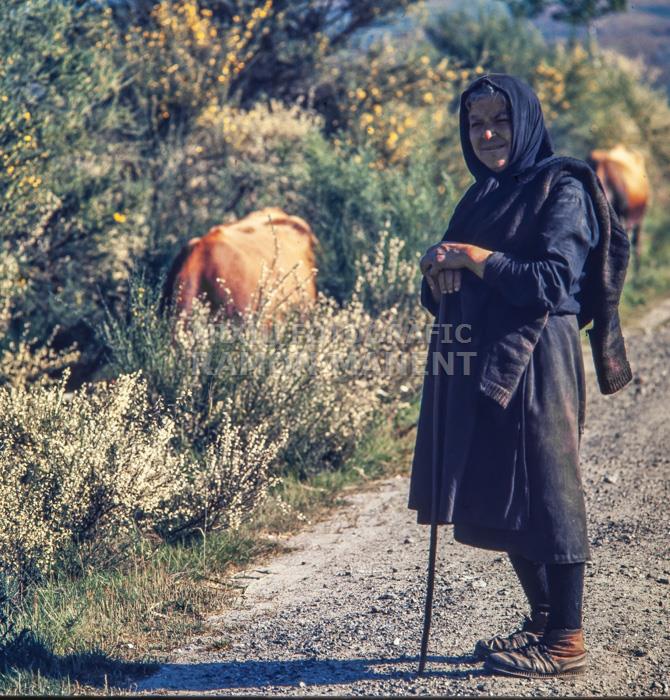 PASTORA A LA COMARCA DE MATARRANYA 1972