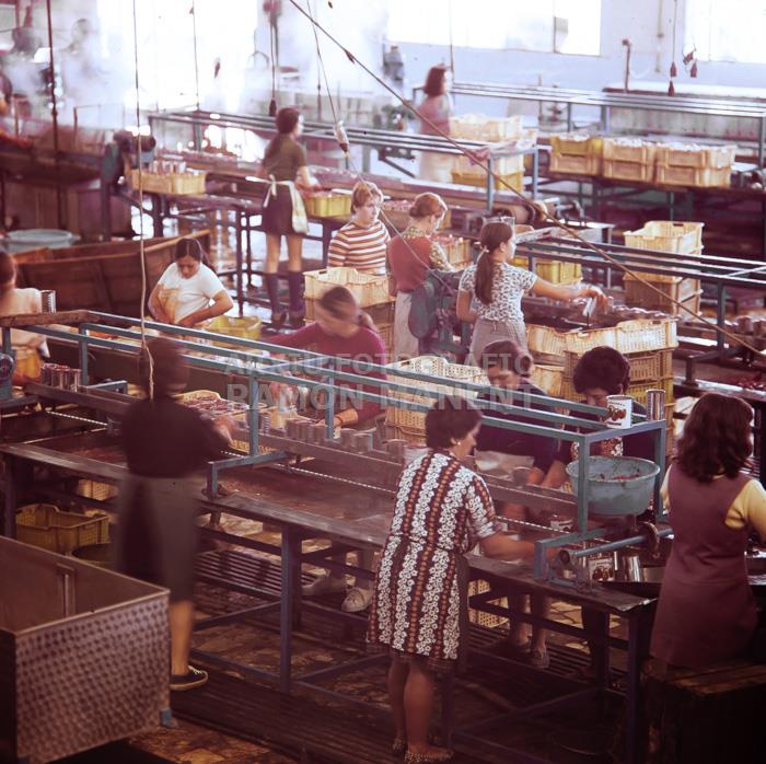 FABRICA DE CONSERVES DOLORES ANYS 70