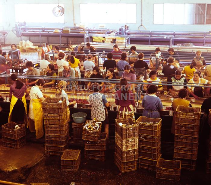 FABRICA DE CONSERVES DOLORES ANYS 70