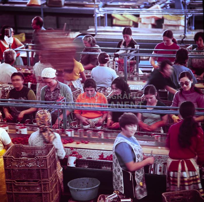 FABRICA DE CONSERVES DOLORES ANYS 70