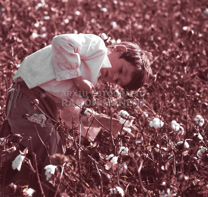 RECOLLINT COTO A CANTILLANA ANYS 70