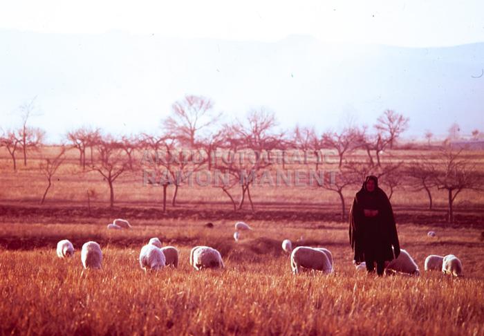 PASTORA A FERRERAS DE ARRIBA ANYS 70
