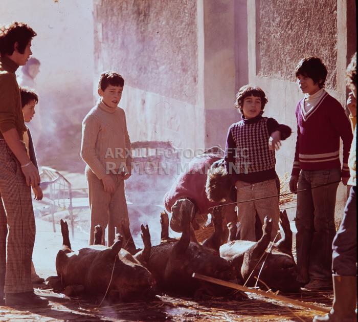 ALCAÑICES ANYS 70 MATANÇA DEL PORC