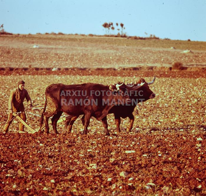 PAGES LLAURANT A LOSACIO
