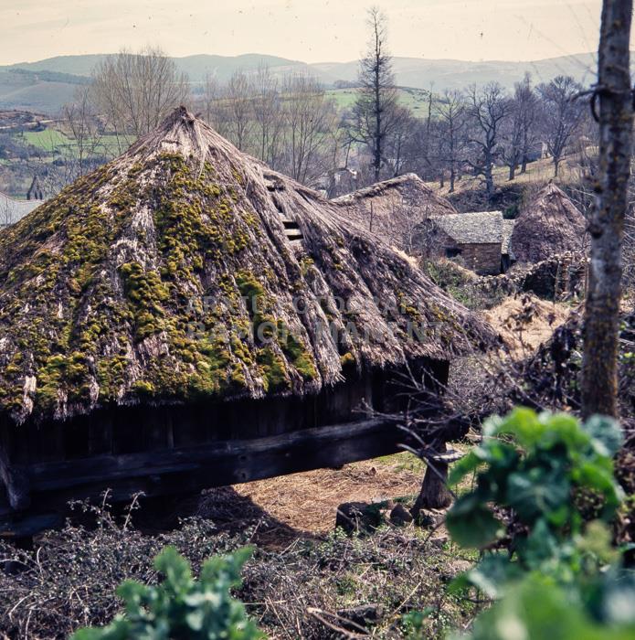 PALLOZA CELTICA EN PARADESECA