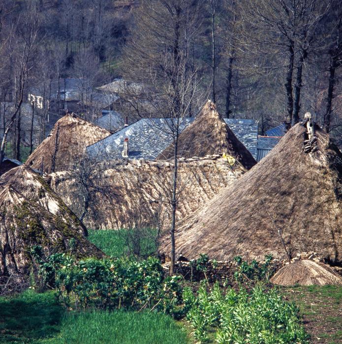 PALLOZA CELTICA EN PARADESECA