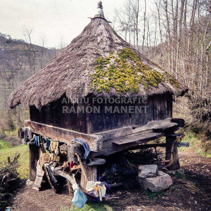 PALLOZA CELTICA EN PARADESECA
