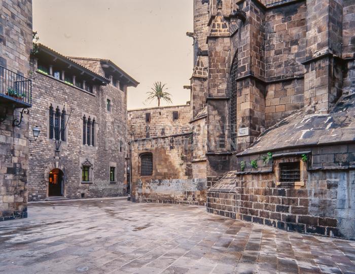 CASA DELS CANONGES I AMBSI CATEDRAL