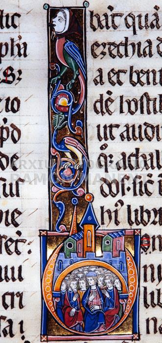 MINIATURA BIBLIA DE VIC O BIBLIA SACRA PROC CATEDRAL VIC 
M E V