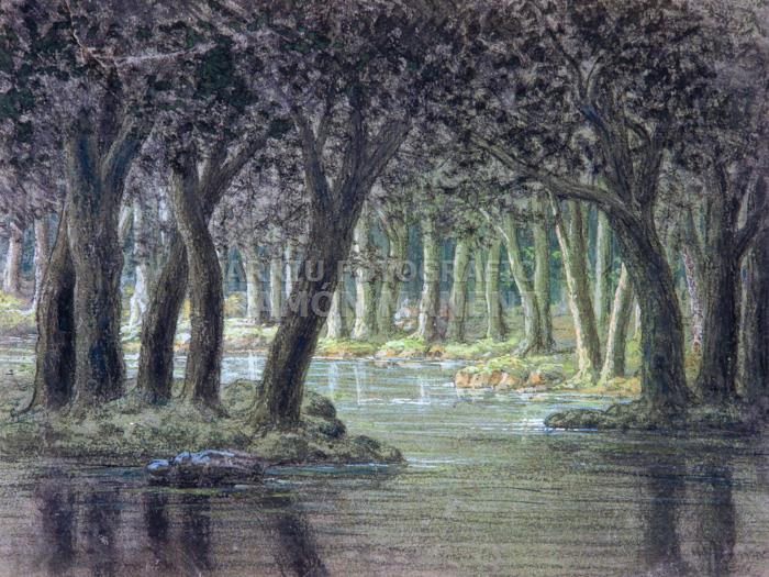 ESCENOGRAFIA M VILOMARA XIX XX 
TEATRE DEL LICEU