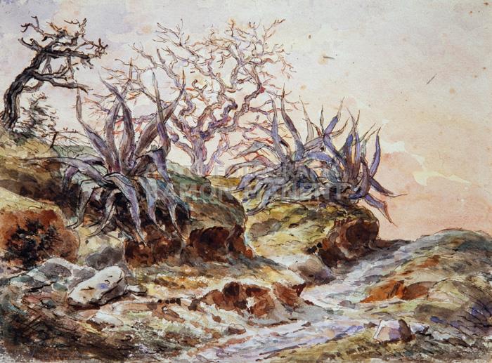 ESCENOGRAFIA M VILOMARA XIX XX 
TEATRE DEL LICEU