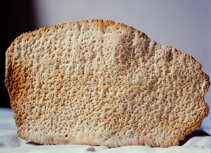 FORN DE PA A LA ALGABA (SEVILLA)