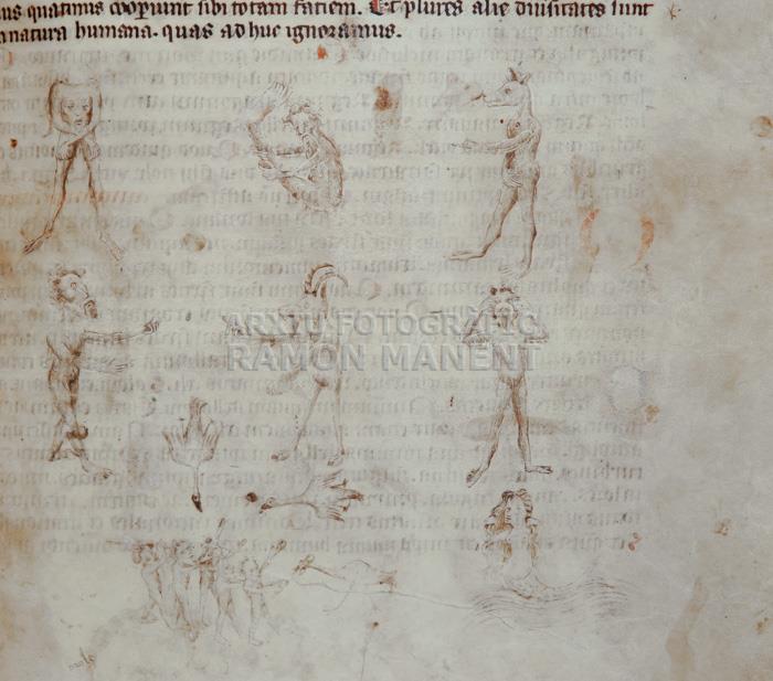 LLIBRE VERMELL 
BIBLIOTECA DE MONTSERRAT