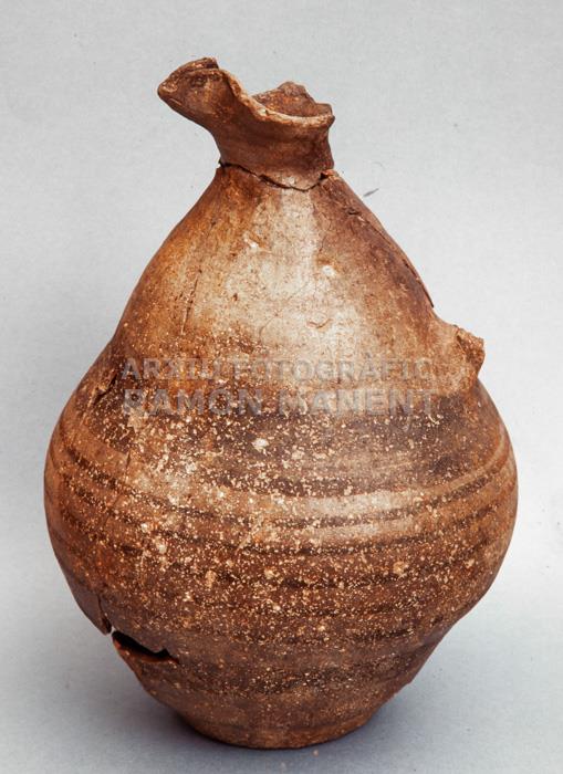 OINOCOE FENICI 
UNIVERSITAT DE BARCELONA