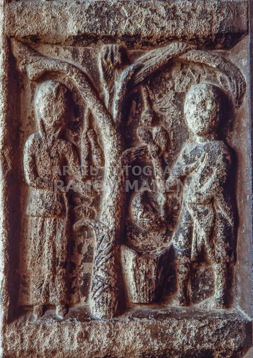 MONESTIR DE RIPOLL FAÇANA XII 
RECOLLINT ELS FRUITS