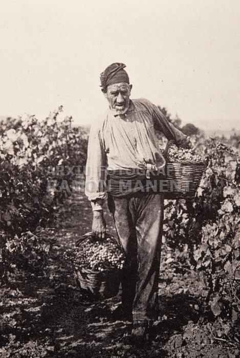 VEREMA ANY 1900 
INSTITUT CATALÀ DE SANT ISIDRE