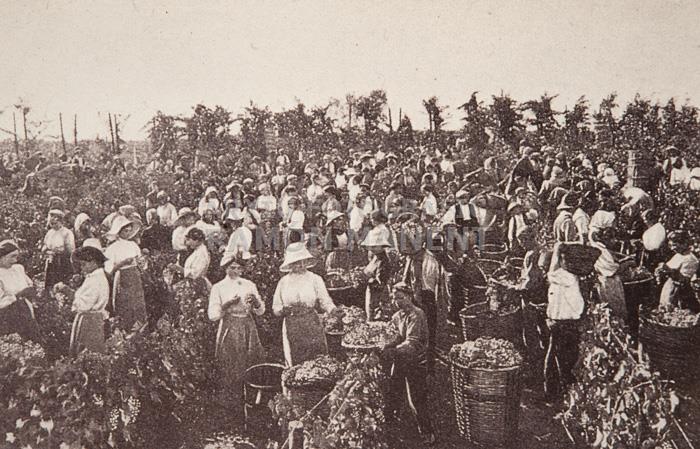 VEREMA ANY 1900 
INSTITUT CATALÀ DE SANT ISIDRE