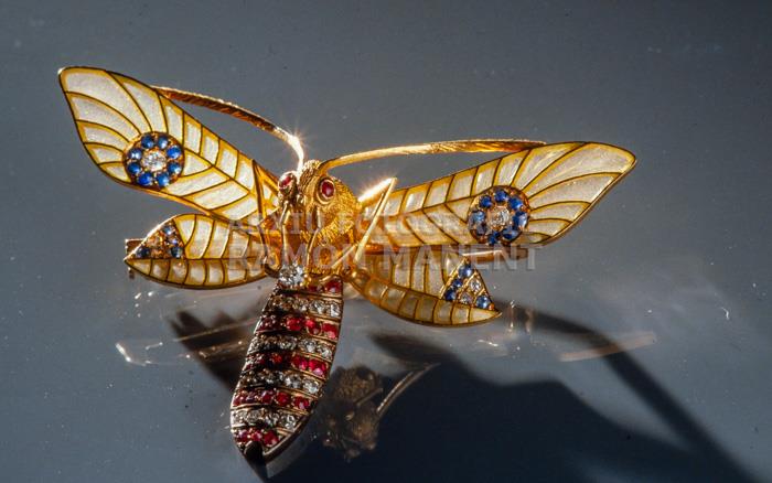 AGULLA (PAPALLONA) LLUIS MASRIERA 
C P