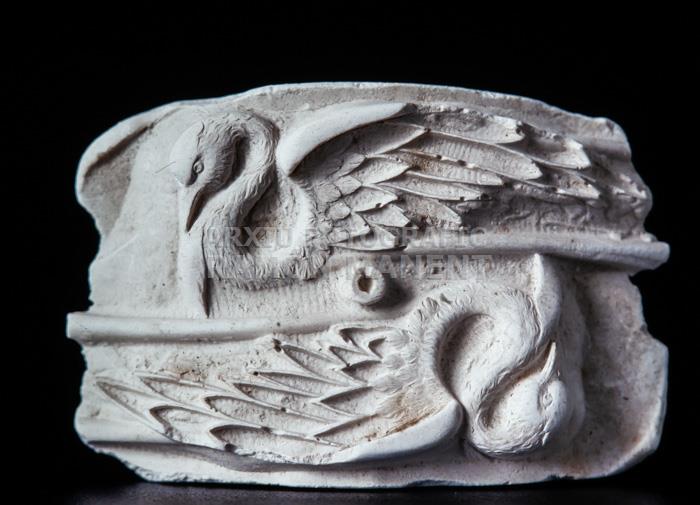 MOTLLE DE GUIX DE BRAÇALET AMB CIGNES 
C P