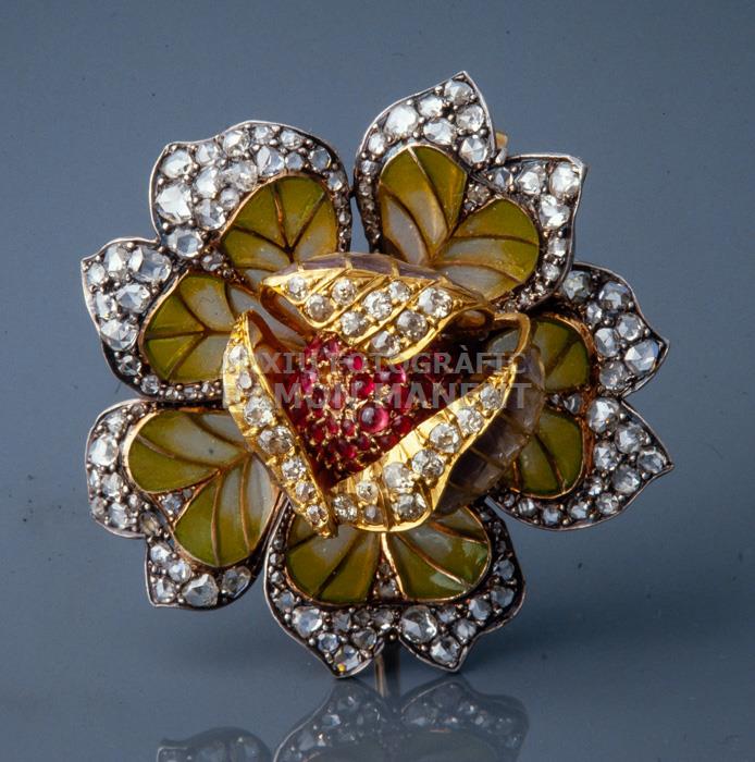 FERMALL AMB FLOR 
C P