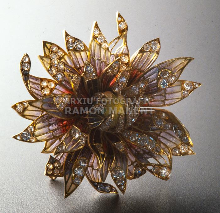 PENJOLL/FERMALL EN FLOR 
C P