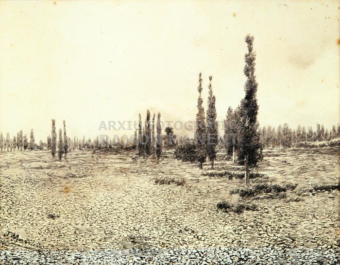 -PAISATGE- JOSEP MASRIERA 
C P