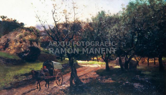 -LLAVANERES- JOSEP MASRIERA 
C P